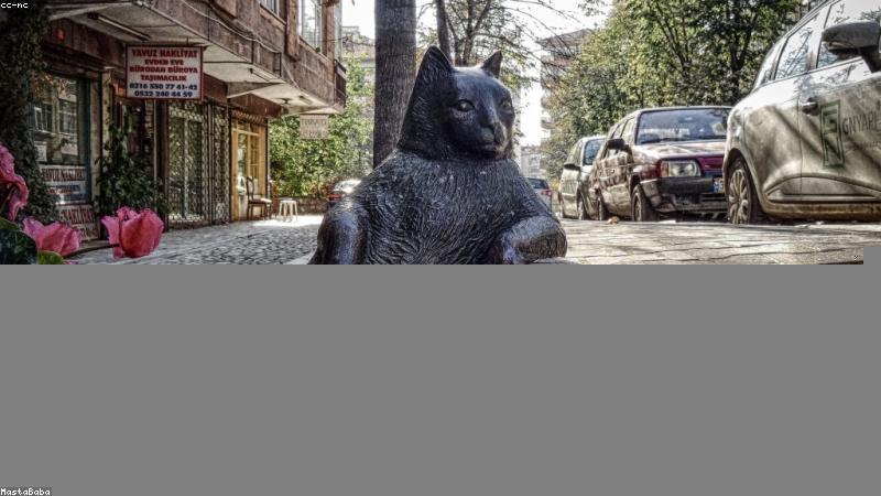 科学养护指南：从光照到修剪，解锁花卉健康生长密码