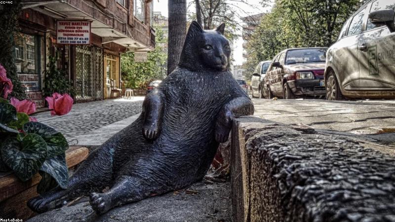 解锁花艺搭配密码：从色彩到形态的创意组合指南