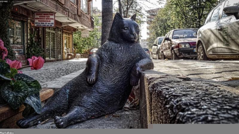 探秘鲜花世界：常见品种与独特魅力全解析