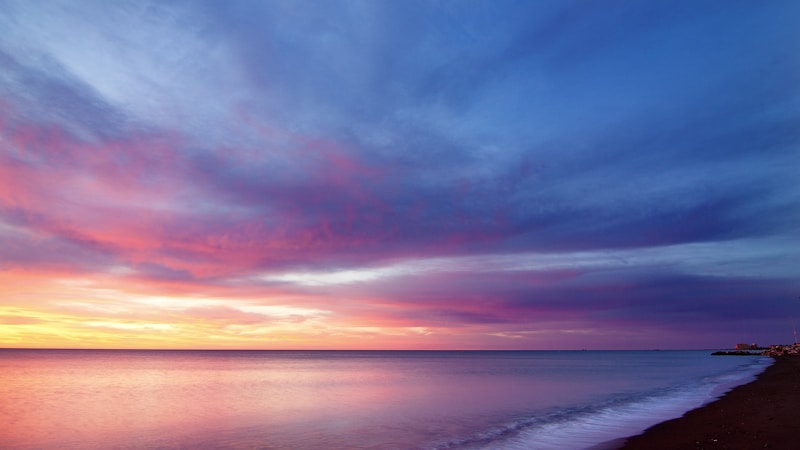 节日用花全解析：从文化寓意到实用搭配指南