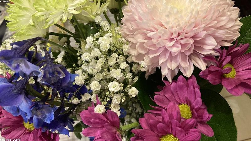 花艺搭配的艺术：从色彩到形态的完美融合指南